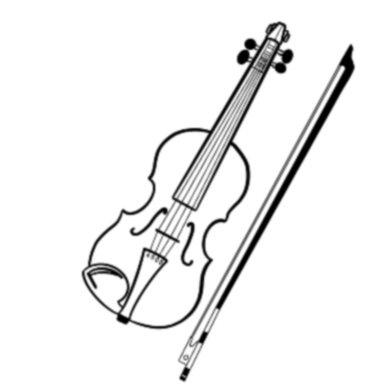 Carnatic Violin